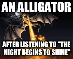 Dragons win | AN ALLIGATOR; AFTER LISTENING TO "THE NIGHT BEGINS TO SHINE" | image tagged in dragons win,the night begins to shine | made w/ Imgflip meme maker