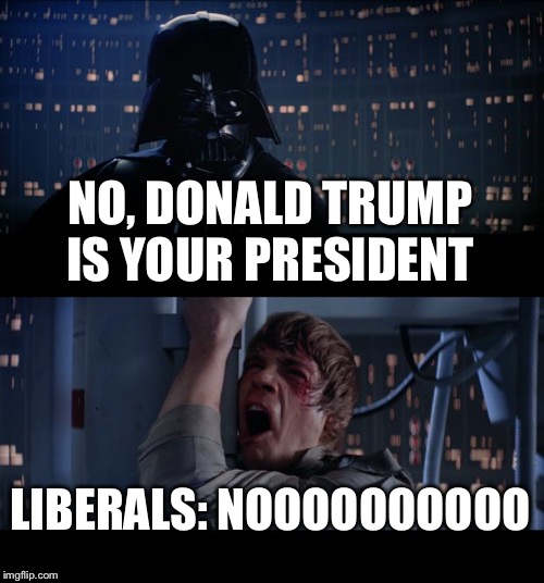 Star Wars No | NO, DONALD TRUMP IS YOUR PRESIDENT; LIBERALS:
NOOOOOOOOOO | image tagged in memes,star wars no | made w/ Imgflip meme maker