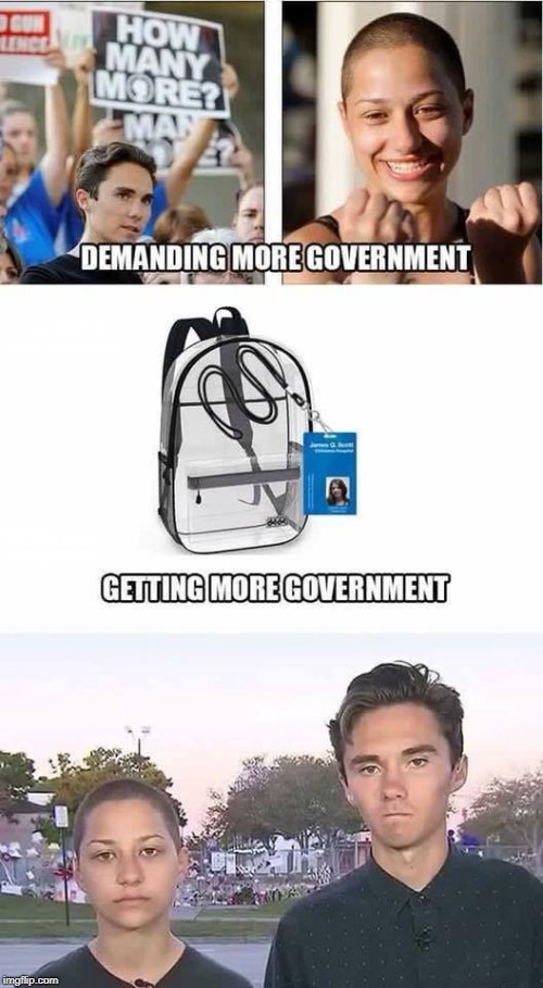 When you ask for more government it takes away YOUR rights and it doesn't solve the problem. | DEMANDING MORE GOVERNMENT; GETTING MORE GOVERNMENT | image tagged in emma gonzalez,david hogg,big government,gun control,parkland,memes | made w/ Imgflip meme maker