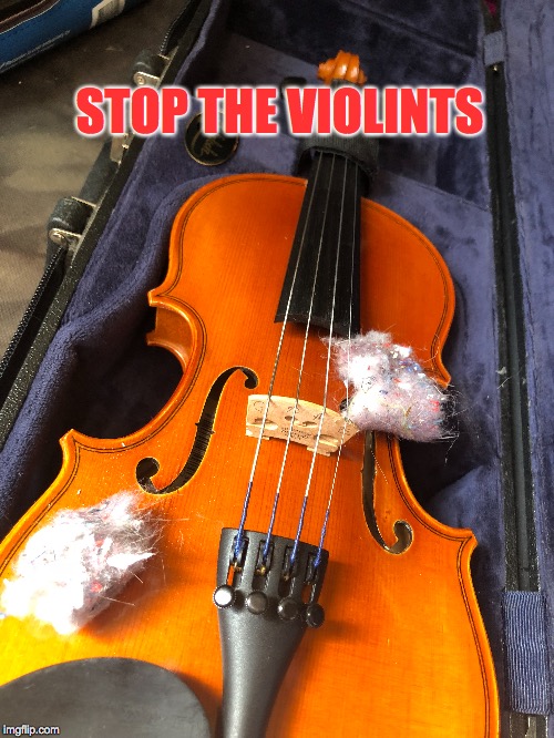 Oh the humanity... | STOP THE VIOLINTS | image tagged in music,violence,dirty,humor,political humor | made w/ Imgflip meme maker