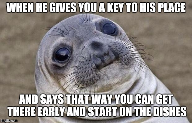 Awkward moment sealion | WHEN HE GIVES YOU A KEY TO HIS PLACE; AND SAYS THAT WAY YOU CAN GET THERE EARLY AND START ON THE DISHES | image tagged in memes,awkward moment sealion,dating | made w/ Imgflip meme maker