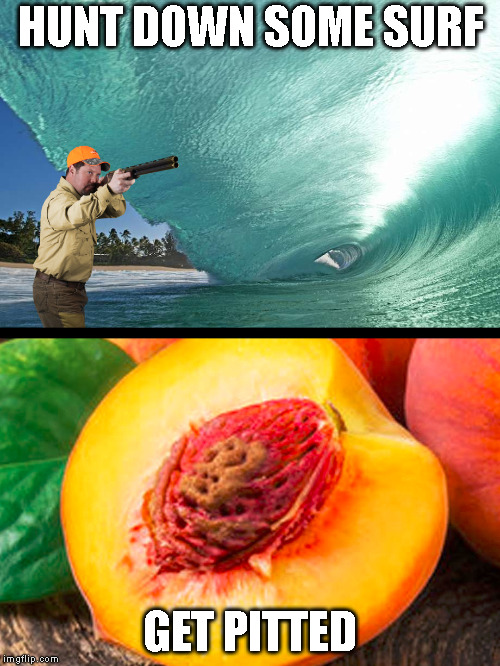 Surf's Up! | HUNT DOWN SOME SURF; GET PITTED | image tagged in surf,pitted,get pitted,wave,hunter,peach | made w/ Imgflip meme maker