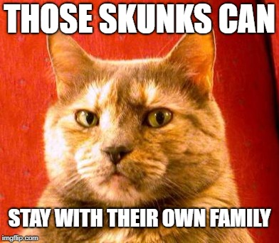 THOSE SKUNKS CAN STAY WITH THEIR OWN FAMILY | made w/ Imgflip meme maker