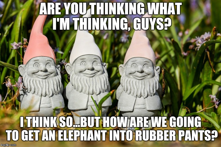 ARE YOU THINKING WHAT I'M THINKING, GUYS? I THINK SO...BUT HOW ARE WE GOING TO GET AN ELEPHANT INTO RUBBER PANTS? | made w/ Imgflip meme maker