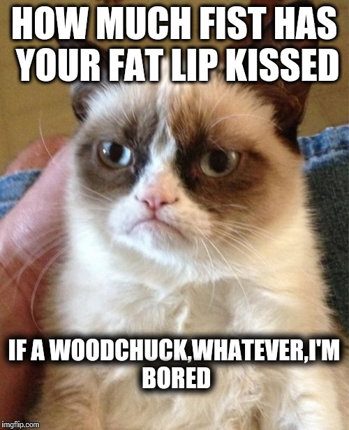 Grumpy Cat Meme | HOW MUCH FIST HAS YOUR FAT LIP KISSED; IF A WOODCHUCK,WHATEVER,I'M BORED | image tagged in memes,grumpy cat | made w/ Imgflip meme maker