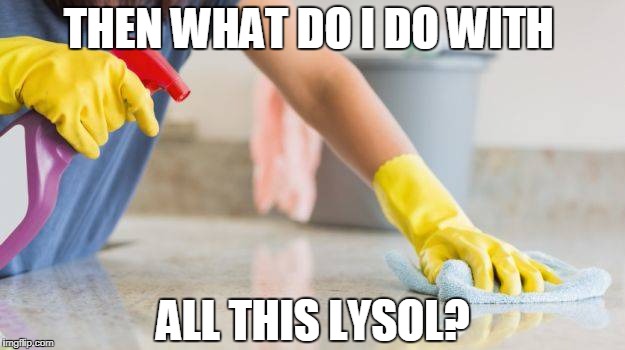 THEN WHAT DO I DO WITH ALL THIS LYSOL? | made w/ Imgflip meme maker