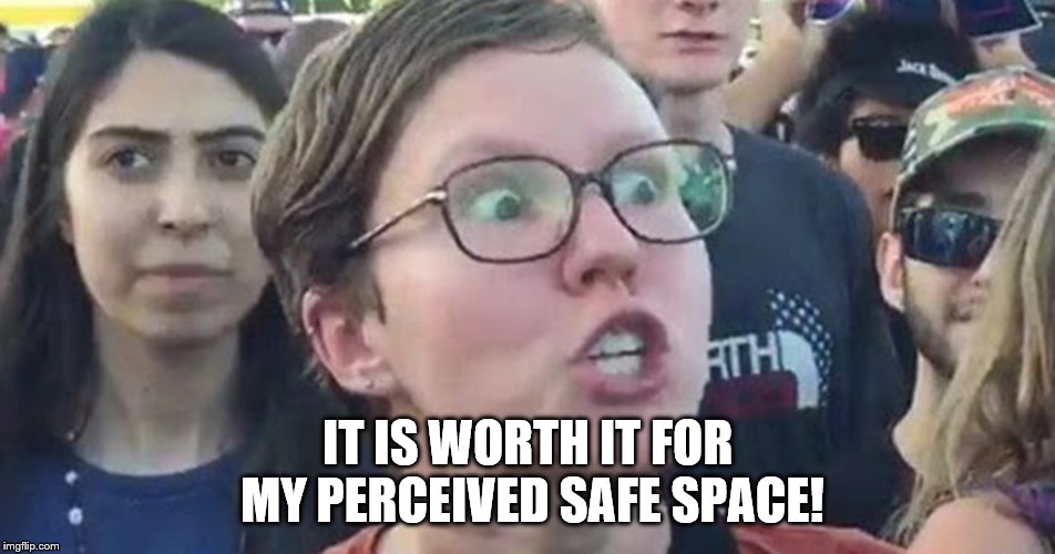 IT IS WORTH IT FOR MY PERCEIVED SAFE SPACE! | made w/ Imgflip meme maker