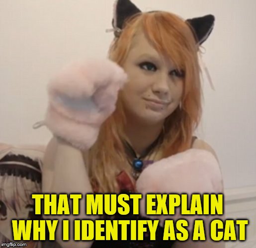 THAT MUST EXPLAIN WHY I IDENTIFY AS A CAT | made w/ Imgflip meme maker