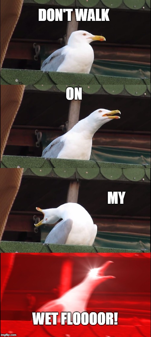 Inhaling Seagull Meme | DON'T WALK; ON; MY; WET FLOOOOR! | image tagged in memes,inhaling seagull | made w/ Imgflip meme maker