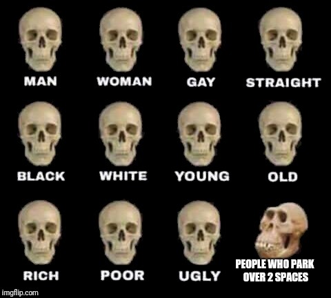 man woman gay straight skull | PEOPLE WHO PARK OVER 2 SPACES | image tagged in man woman gay straight skull,memes,funny memes | made w/ Imgflip meme maker