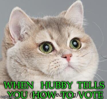 Heavy Breathing Cat Meme | WHEN   HUBBY  TELLS YOU  HOW  TO  VOTE | image tagged in memes,heavy breathing cat | made w/ Imgflip meme maker