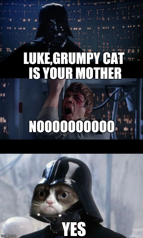 Miss Grumpy Cat says yes for the first time | LUKE,GRUMPY CAT IS YOUR MOTHER; NOOOOOOOOOO; YES | image tagged in star wars no,grumpy cat,memes | made w/ Imgflip meme maker