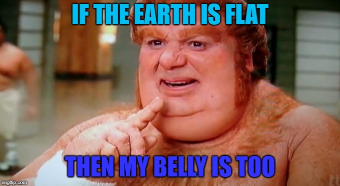 Just a gut feeling... | IF THE EARTH IS FLAT; THEN MY BELLY IS TOO | image tagged in fat | made w/ Imgflip meme maker