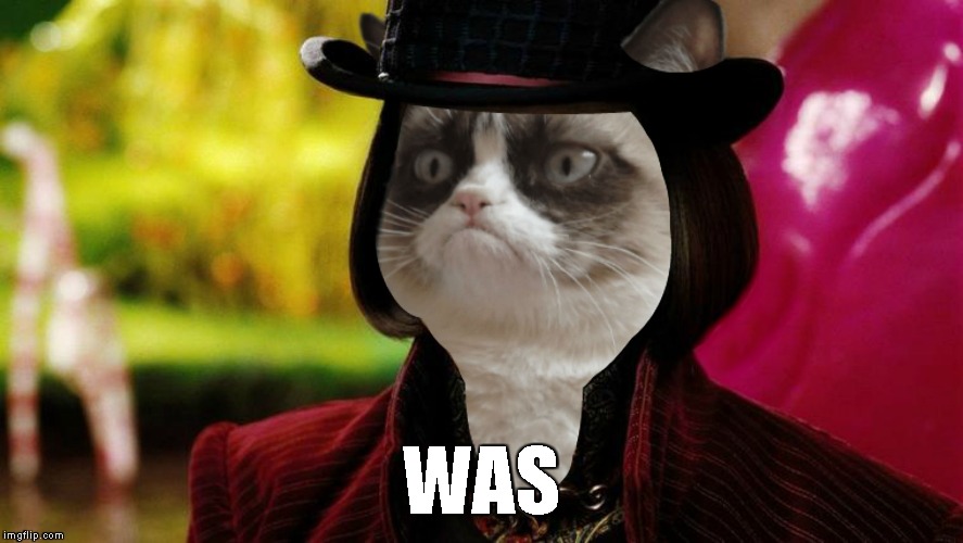 Wonka Grumpy Cat | WAS | image tagged in wonka grumpy cat | made w/ Imgflip meme maker
