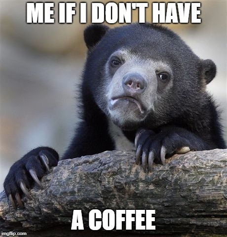 Confession Bear Meme | ME IF I DON'T HAVE; A COFFEE | image tagged in memes,confession bear | made w/ Imgflip meme maker