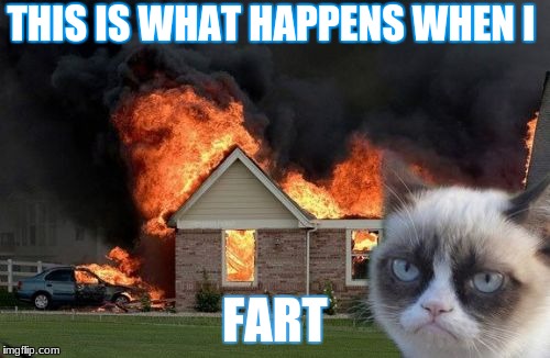 Burn Kitty | THIS IS WHAT HAPPENS WHEN I; FART | image tagged in memes,burn kitty,grumpy cat | made w/ Imgflip meme maker