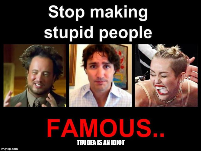 TRUDEA IS AN IDIOT | image tagged in i stole this,but i love it trudeau is an idiot | made w/ Imgflip meme maker