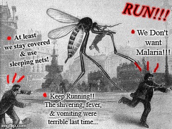 Mosquito Attack | RUN!!! At least we stay covered & use sleeping nets! We Don't want Malaria!!! Keep Running!! The shivering, fever, & vomiting were terrible last time... | image tagged in mosquito attack | made w/ Imgflip meme maker