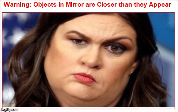 image tagged in trump sara in mirror | made w/ Imgflip meme maker