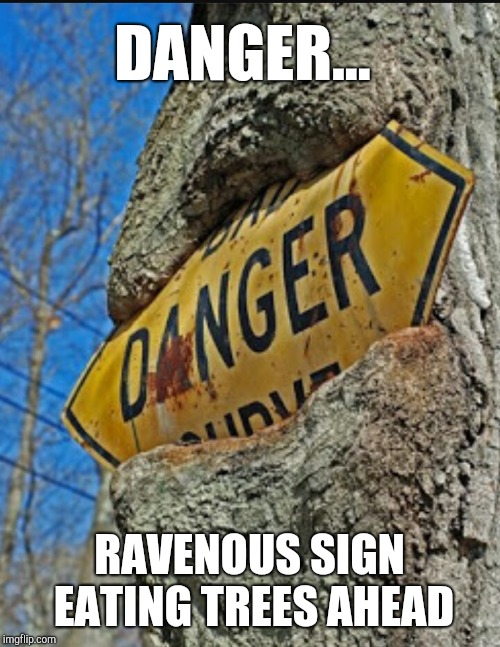DANGER... RAVENOUS SIGN EATING TREES AHEAD | image tagged in jbmemegeek,signs/billboards,funny road signs,funny signs,memes | made w/ Imgflip meme maker