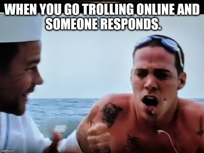 Fish hooked | WHEN YOU GO TROLLING ONLINE
AND SOMEONE RESPONDS. | image tagged in fish hooked,trolling | made w/ Imgflip meme maker