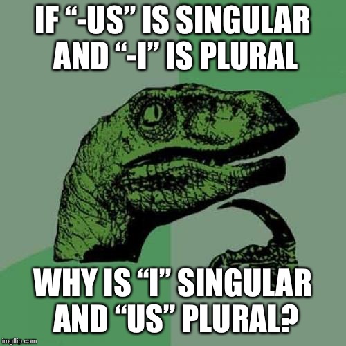 Philosoraptor Meme | IF “-US” IS SINGULAR AND “-I” IS PLURAL; WHY IS “I” SINGULAR AND “US” PLURAL? | image tagged in memes,philosoraptor | made w/ Imgflip meme maker