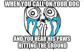 i would die for you | WHEN YOU CALL ON YOUR DOG; AND YOU HEAR HIS PAWS HITTING THE GROUND | image tagged in memes,crying because of cute | made w/ Imgflip meme maker