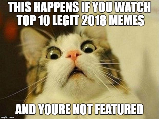 Scared Cat Meme | THIS HAPPENS IF YOU WATCH TOP 10 LEGIT 2018 MEMES; AND YOURE NOT FEATURED | image tagged in memes,scared cat | made w/ Imgflip meme maker