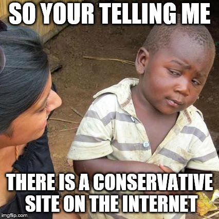 Third World Skeptical Kid Meme | SO YOUR TELLING ME; THERE IS A CONSERVATIVE SITE ON THE INTERNET | image tagged in memes,third world skeptical kid | made w/ Imgflip meme maker
