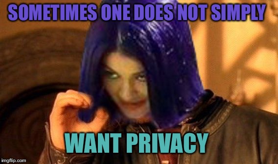 Kylie Does Not Simply | SOMETIMES ONE DOES NOT SIMPLY WANT PRIVACY | image tagged in kylie does not simply | made w/ Imgflip meme maker