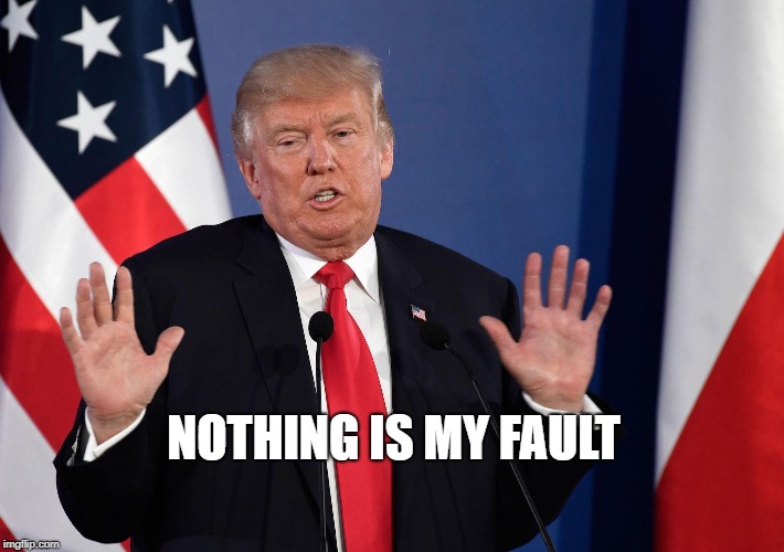 Trump Not Me | NOTHING IS MY FAULT | image tagged in trump not me | made w/ Imgflip meme maker