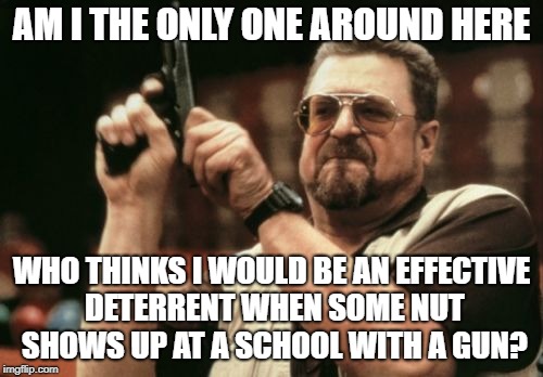 Trust A Good Guy With A Gun Every Time | AM I THE ONLY ONE AROUND HERE; WHO THINKS I WOULD BE AN EFFECTIVE DETERRENT WHEN SOME NUT SHOWS UP AT A SCHOOL WITH A GUN? | image tagged in memes,am i the only one around here | made w/ Imgflip meme maker