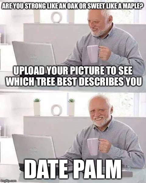 Hide the Pain Harold Meme | ARE YOU STRONG LIKE AN OAK OR SWEET LIKE A MAPLE? UPLOAD YOUR PICTURE TO SEE WHICH TREE BEST DESCRIBES YOU; DATE PALM | image tagged in memes,hide the pain harold | made w/ Imgflip meme maker