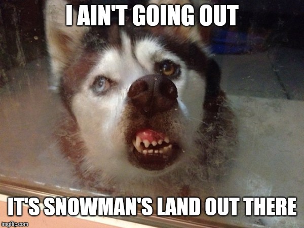 I AIN'T GOING OUT IT'S SNOWMAN'S LAND OUT THERE | made w/ Imgflip meme maker