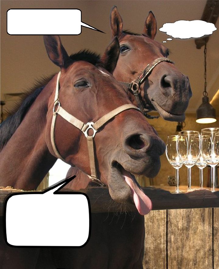 Drunken Horse Blank Meme Template