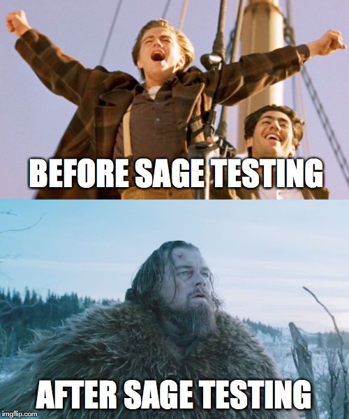 DiCaprio Sage Testing | BEFORE SAGE TESTING; AFTER SAGE TESTING | image tagged in testing | made w/ Imgflip meme maker