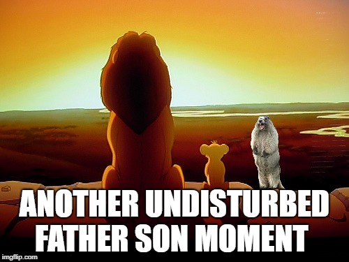 Lion King Meme | ANOTHER UNDISTURBED FATHER SON MOMENT | image tagged in memes,lion king | made w/ Imgflip meme maker