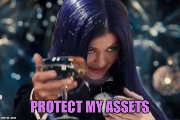 Kylie Cheers | PROTECT MY ASSETS | image tagged in kylie cheers | made w/ Imgflip meme maker