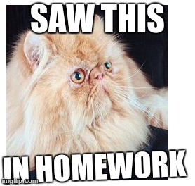 Cat | SAW THIS; IN HOMEWORK | image tagged in memes,cats | made w/ Imgflip meme maker