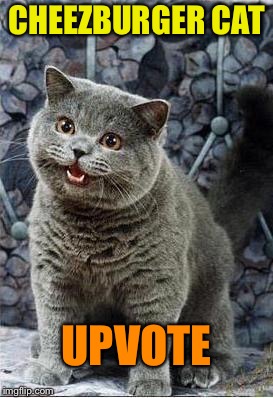 CHEEZBURGER CAT UPVOTE | made w/ Imgflip meme maker