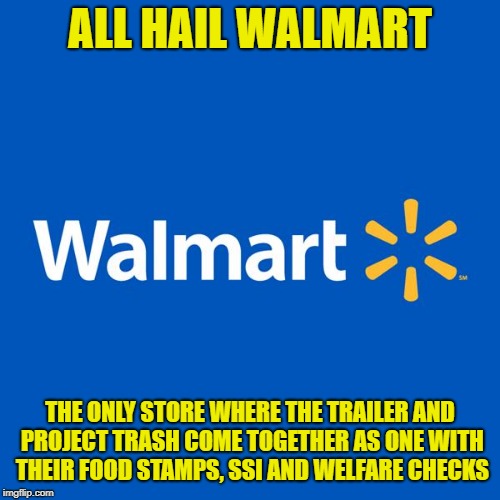 Walmart Life | ALL HAIL WALMART; THE ONLY STORE WHERE THE TRAILER AND PROJECT TRASH COME TOGETHER AS ONE WITH THEIR FOOD STAMPS, SSI AND WELFARE CHECKS | image tagged in walmart life | made w/ Imgflip meme maker