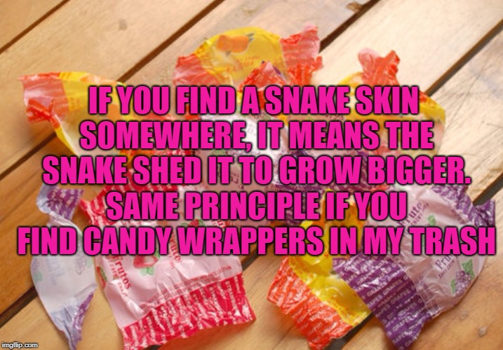 

 | IF YOU FIND A SNAKE SKIN SOMEWHERE, IT MEANS THE SNAKE SHED IT TO GROW BIGGER. SAME PRINCIPLE IF YOU FIND CANDY WRAPPERS IN MY TRASH | image tagged in memes,funny,candy,fat,wrappers | made w/ Imgflip meme maker