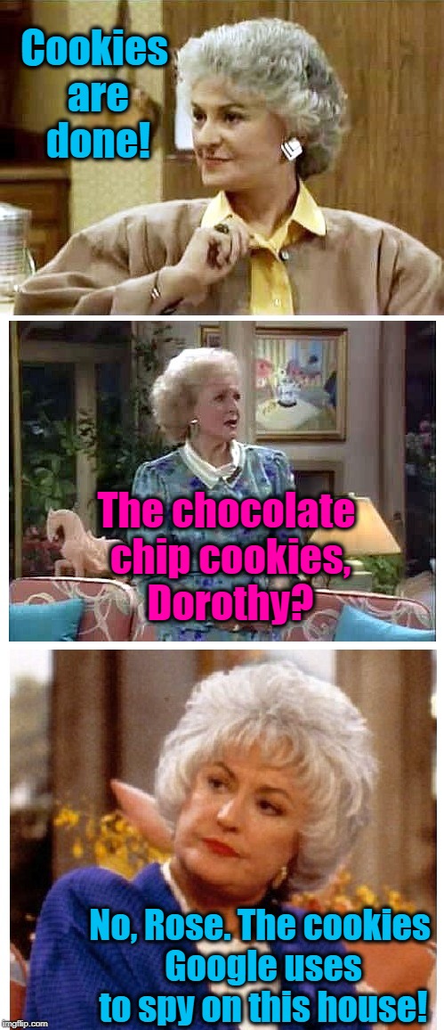 Golden Girls' Rose and Dorothy | Cookies are done! The chocolate chip cookies, Dorothy? No, Rose. The cookies Google uses to spy on this house! | image tagged in golden girls | made w/ Imgflip meme maker