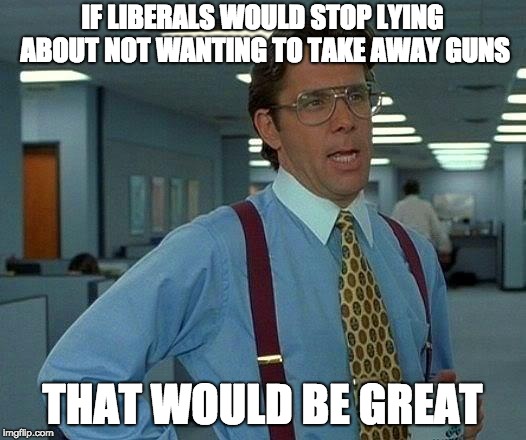 That Would Be Great | IF LIBERALS WOULD STOP LYING ABOUT NOT WANTING TO TAKE AWAY GUNS; THAT WOULD BE GREAT | image tagged in memes,that would be great | made w/ Imgflip meme maker