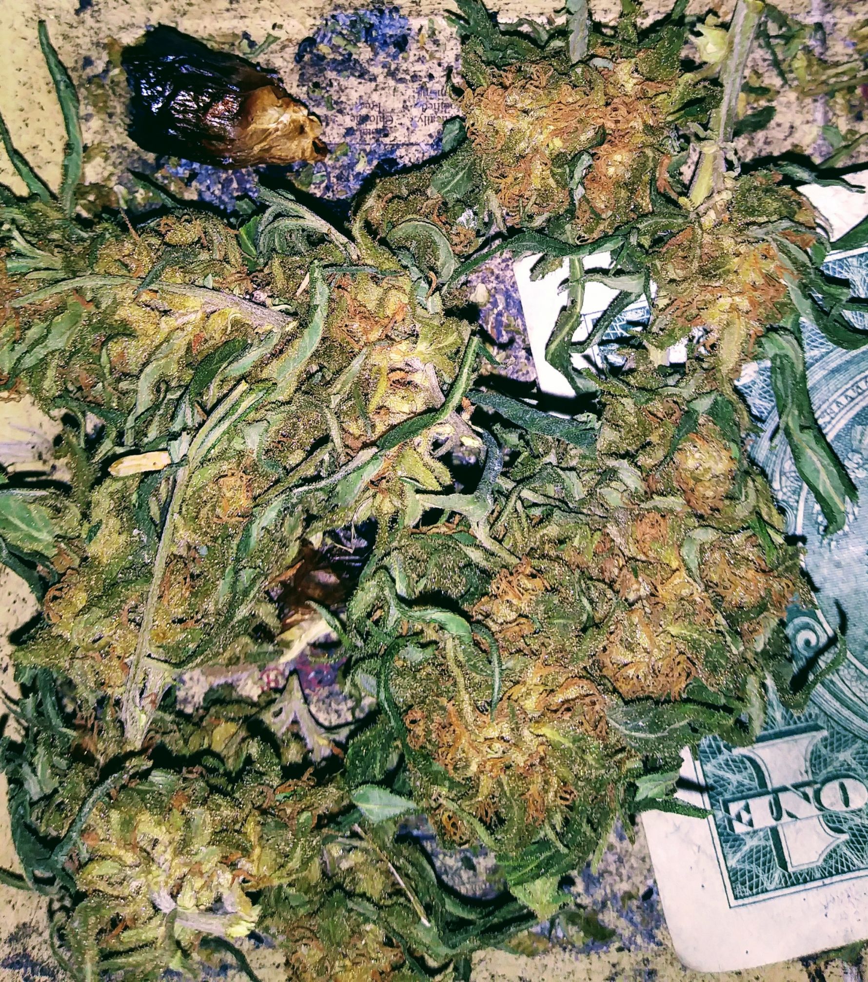 Outdoor Grow O.G.  Blank Meme Template