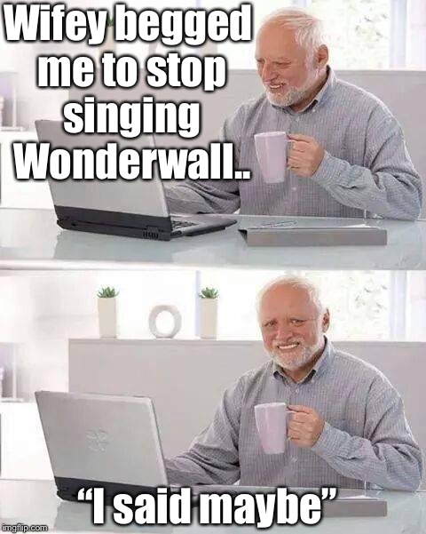 I love Oaisis so much that... | Wifey begged me to stop singing Wonderwall.. “I said maybe” | image tagged in memes,hide the pain harold,oaisis | made w/ Imgflip meme maker
