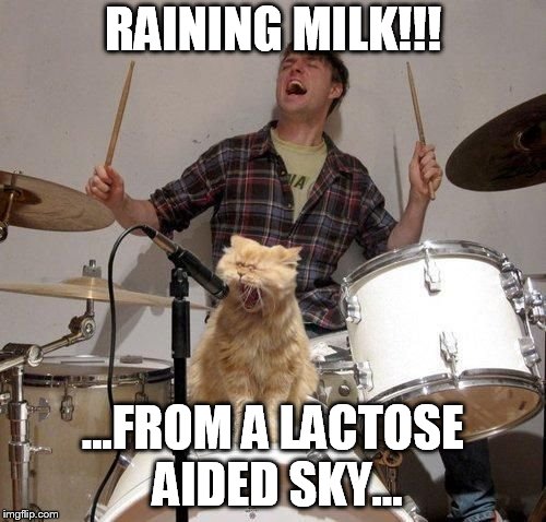 slayer cat | RAINING MILK!!! ...FROM A LACTOSE AIDED SKY... | image tagged in singing cat,slayer | made w/ Imgflip meme maker
