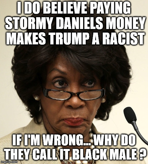 Everything is racist !! | image tagged in maxine waters,stormy daniels,trump,the race card,racist | made w/ Imgflip meme maker