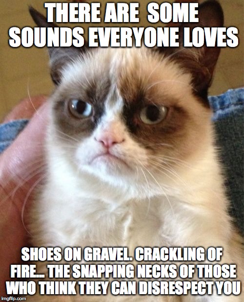 Grumpy Cat Meme | THERE ARE 
SOME SOUNDS EVERYONE LOVES; SHOES ON GRAVEL. CRACKLING OF FIRE... THE SNAPPING NECKS OF THOSE WHO THINK THEY CAN DISRESPECT YOU | image tagged in memes,grumpy cat | made w/ Imgflip meme maker