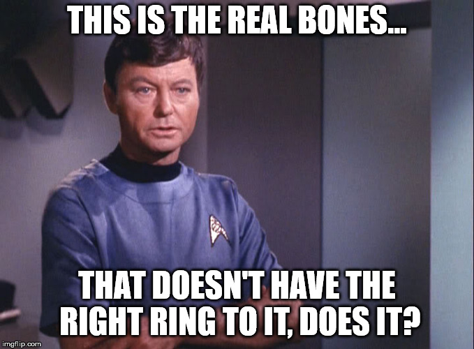 A nickname can make all the difference... | THIS IS THE REAL BONES... THAT DOESN'T HAVE THE RIGHT RING TO IT, DOES IT? | image tagged in dr mccoy | made w/ Imgflip meme maker